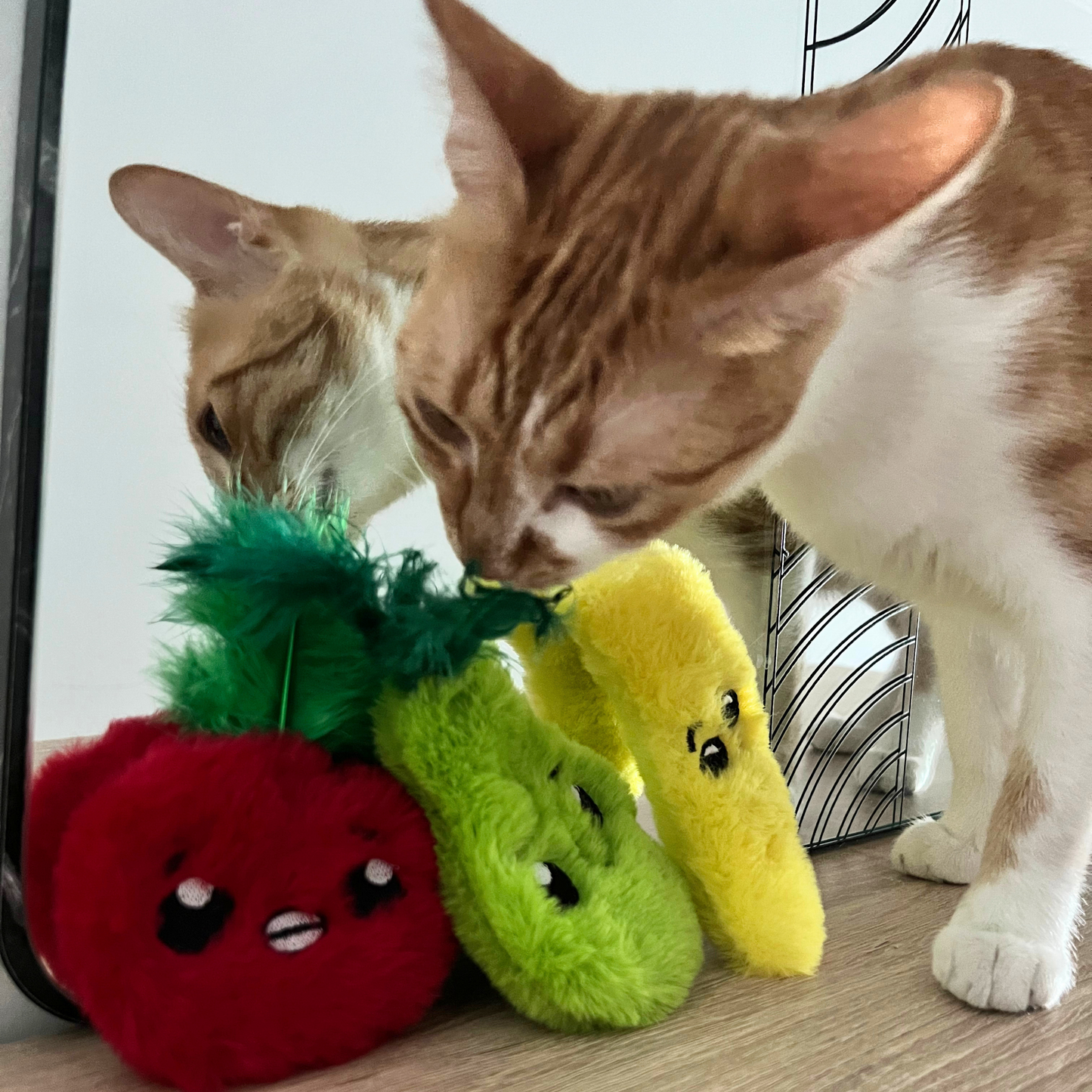 MyMeow - Krazy Refillable Cat Toy Set with 10 North American Natural Catnip Refill Bags