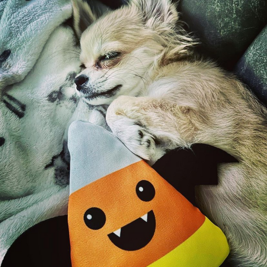 WufWuf - Vampy Candy Plush Toy