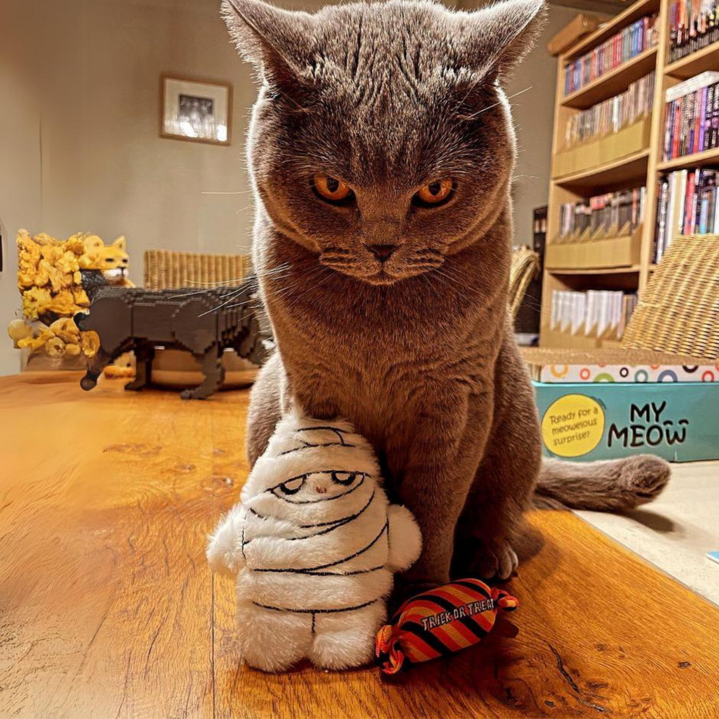 MyMeow My Mummy Refillable Plush Cat Toy