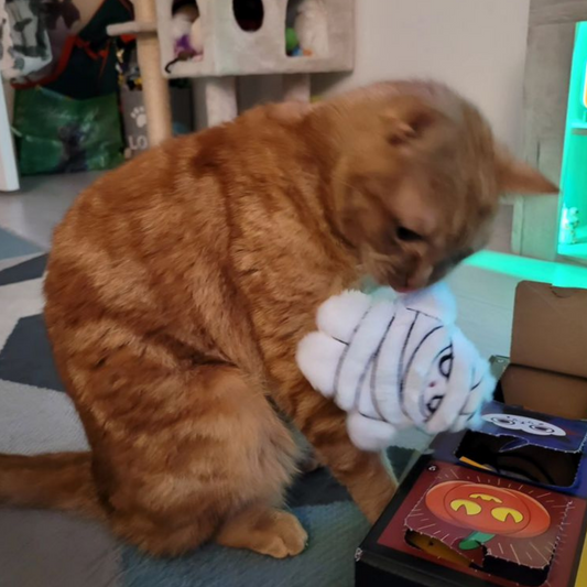 MyMeow My Mummy Refillable Plush Cat Toy