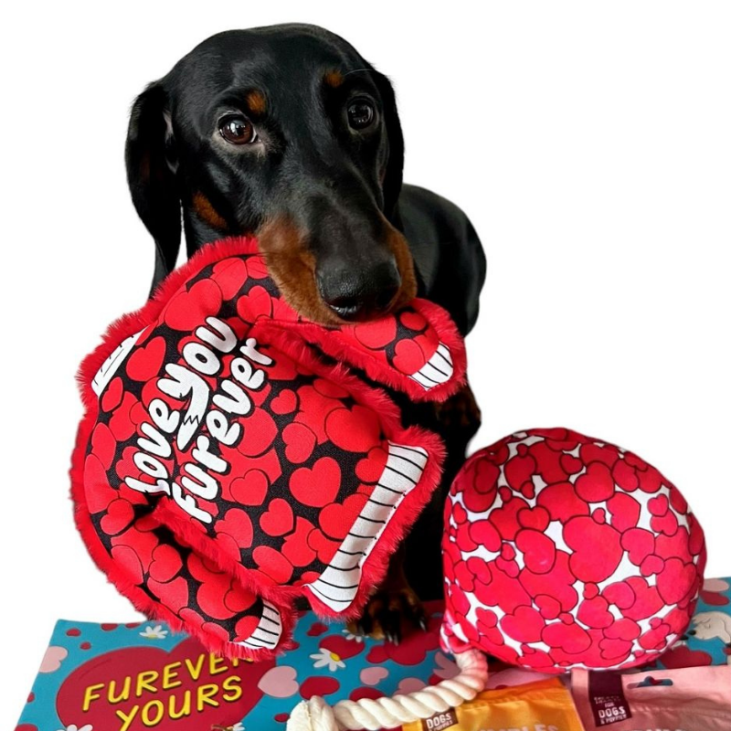 WufWuf Love You Furever Squeaky Plush Dog Sweater Toy, Small/Medium