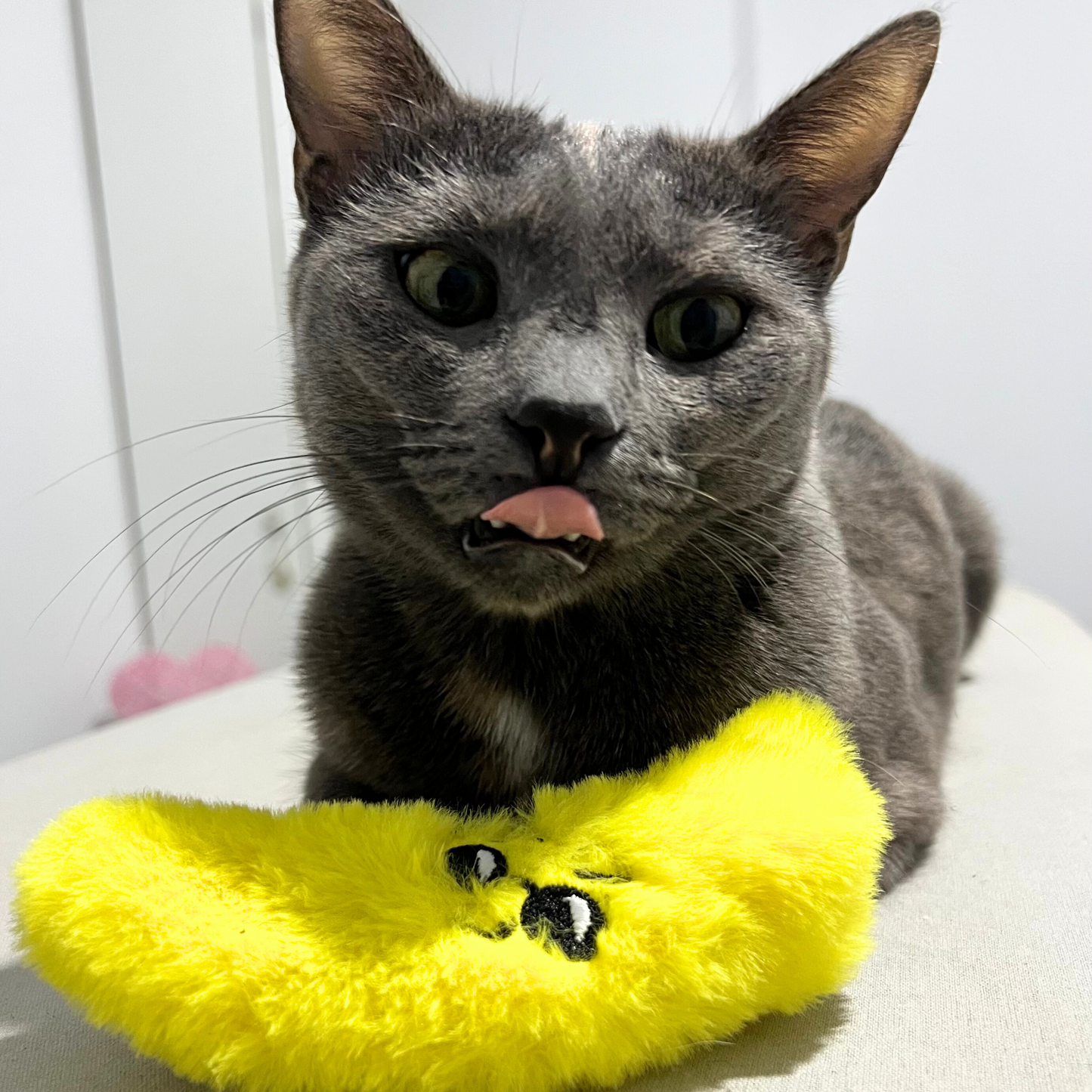 MyMeow - Krazy Refillable Cat Toy Set with 10 North American Natural Catnip Refill Bags