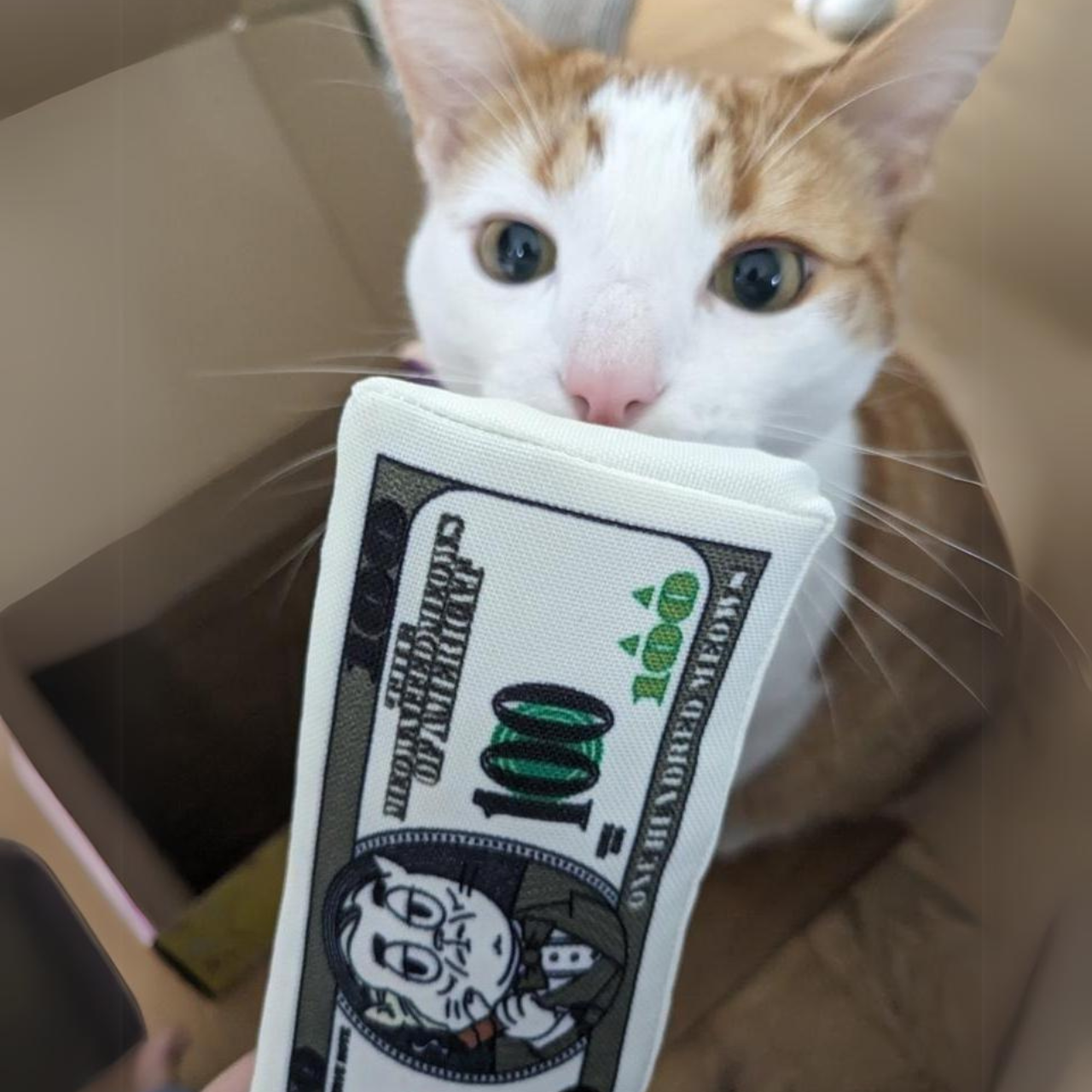 MyMeow Hundred Meows Catnip Toy with Refillable Pocket