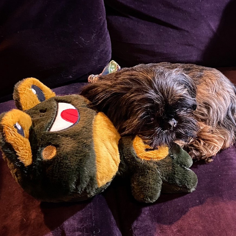 WufWuf Wuffrog Ball - 2-IN-1 Fun Interactive Plush Toy