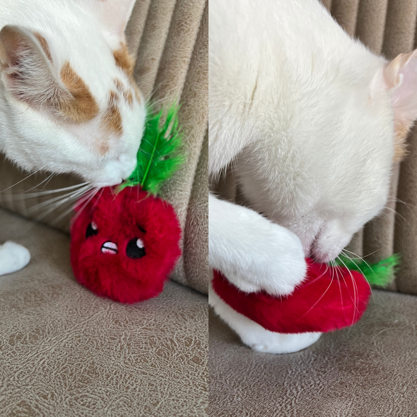 MyMeow Krazy Apple Refillable Cat Toy with 10 North American Natural Catnip Refill Bags