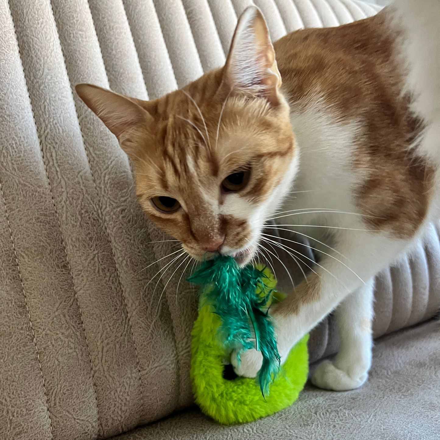 MyMeow - Krazy Refillable Cat Toy Set with 10 North American Natural Catnip Refill Bags
