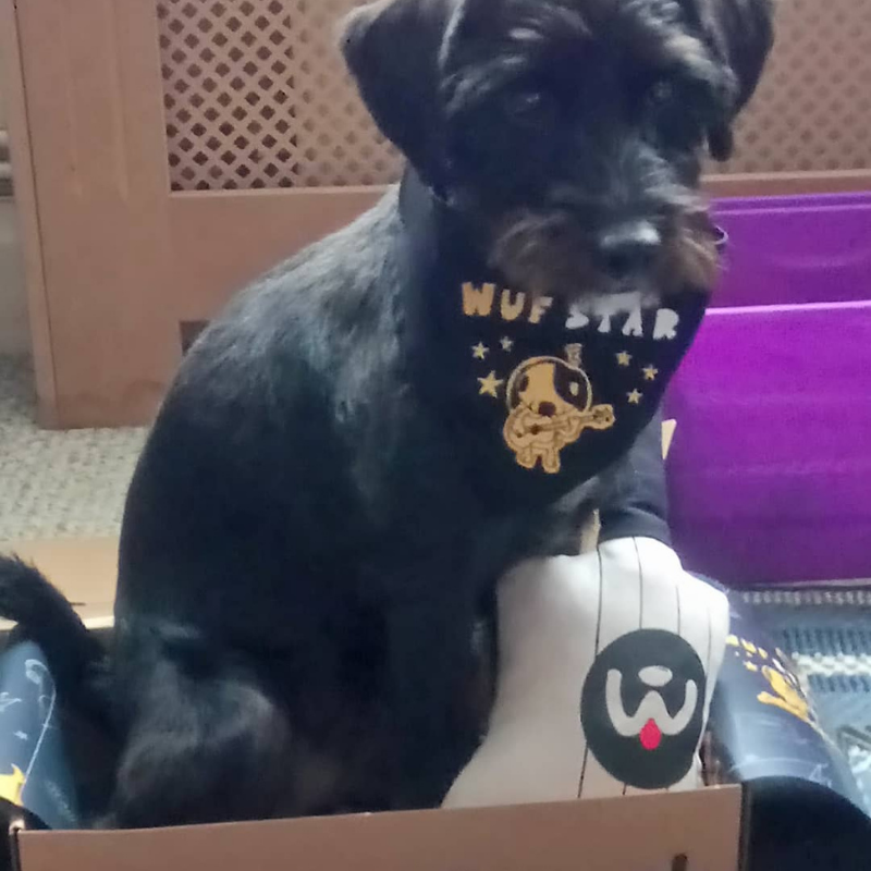 WufWuf - WufStar Bandana