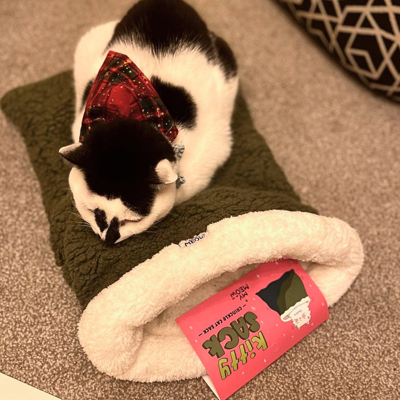 MyMeow - Kitty Sack