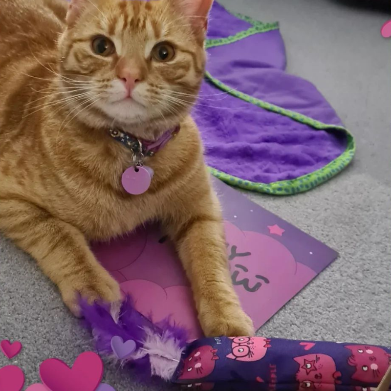 MyMeow - Catnip Kicker Toy