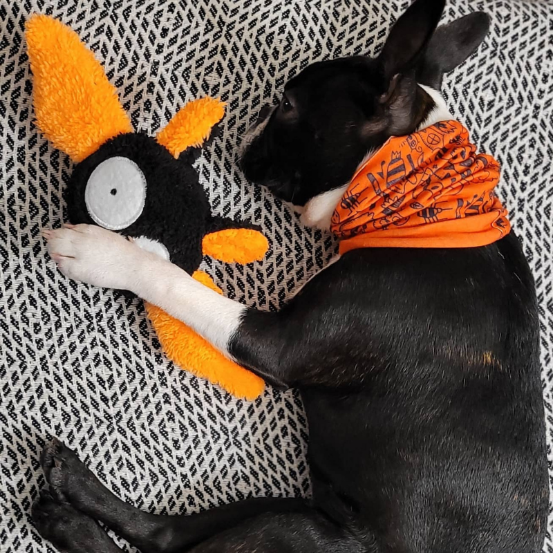 WufWuf Bat Squeaky Plush Toy