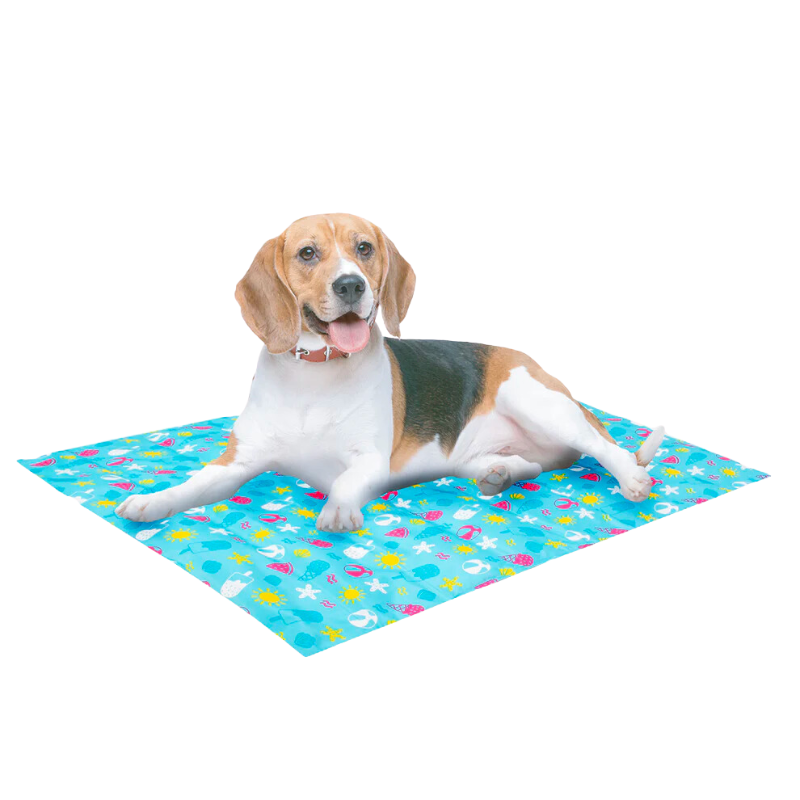 Smart Choice Pet Cooling Mat, Medium (61 cm x 75 cm)