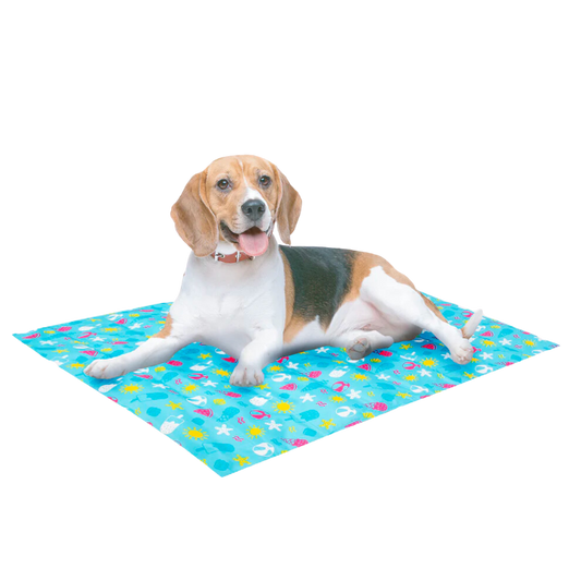 Smart Choice Pet Cooling Mat, Medium (61 cm x 75 cm)
