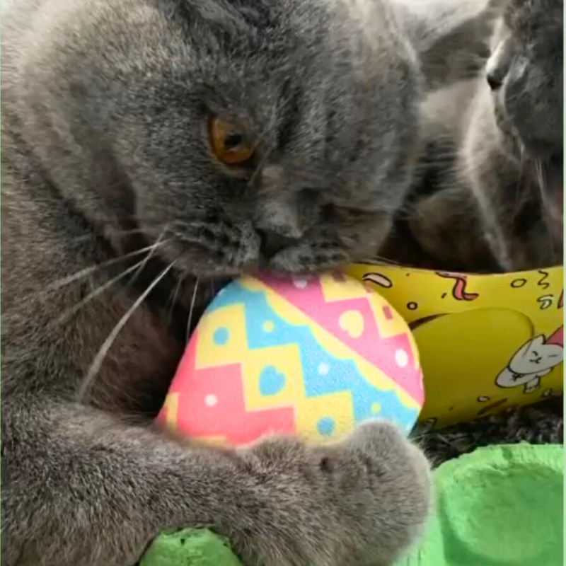 MyMeow Eggciting Easter Eggs, 2-Pack in Egg Carton