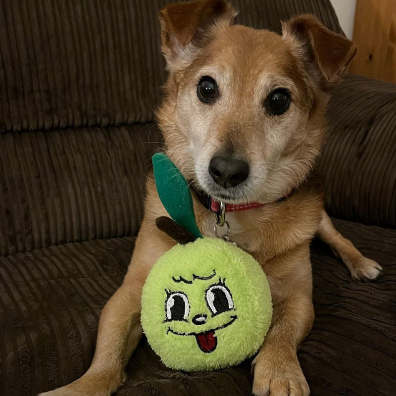 WufWuf - Green Apple Plush Toy