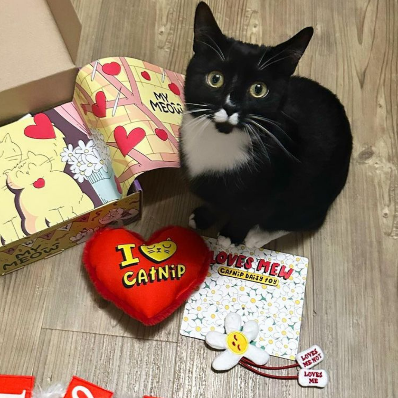 MyMeow - Loves Mew - Catnip Daisy Toy