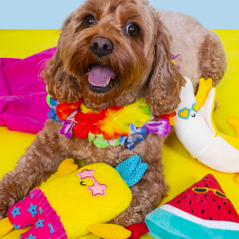 Smart Choice - Summer Fruit Plush Dog Toy - Assorted Styles x 3 Pack