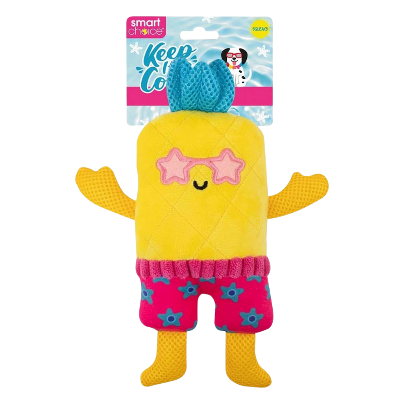 Smart Choice - Summer Fruit Plush Dog Toy - Assorted Styles x 3 Pack