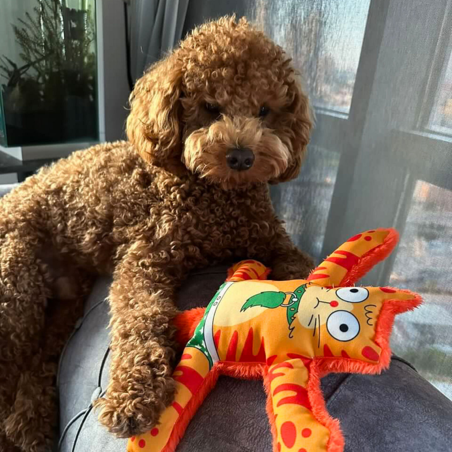 WufWuf Catto Squeaky Plush Dog Toy