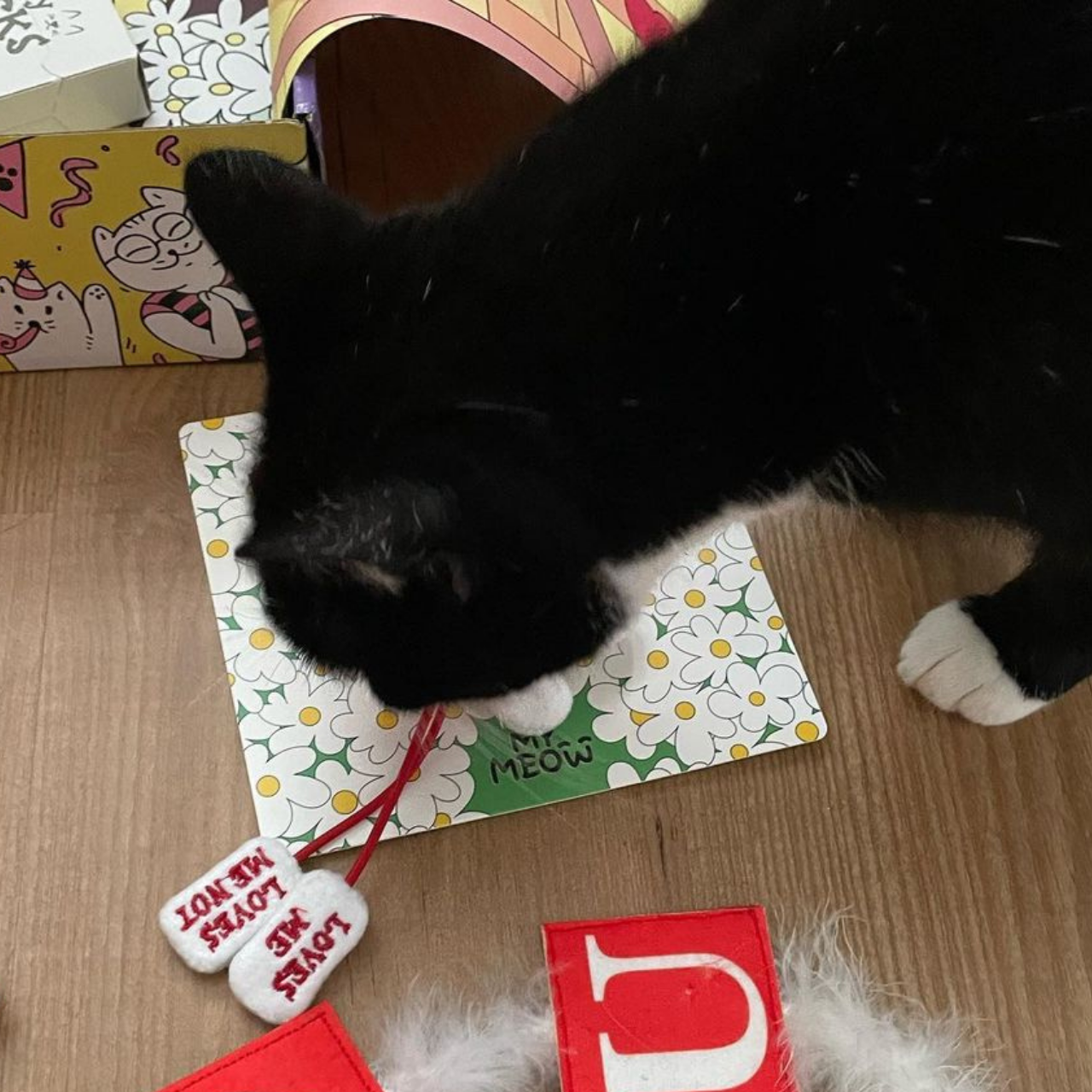 MyMeow - Loves Mew - Catnip Daisy Toy