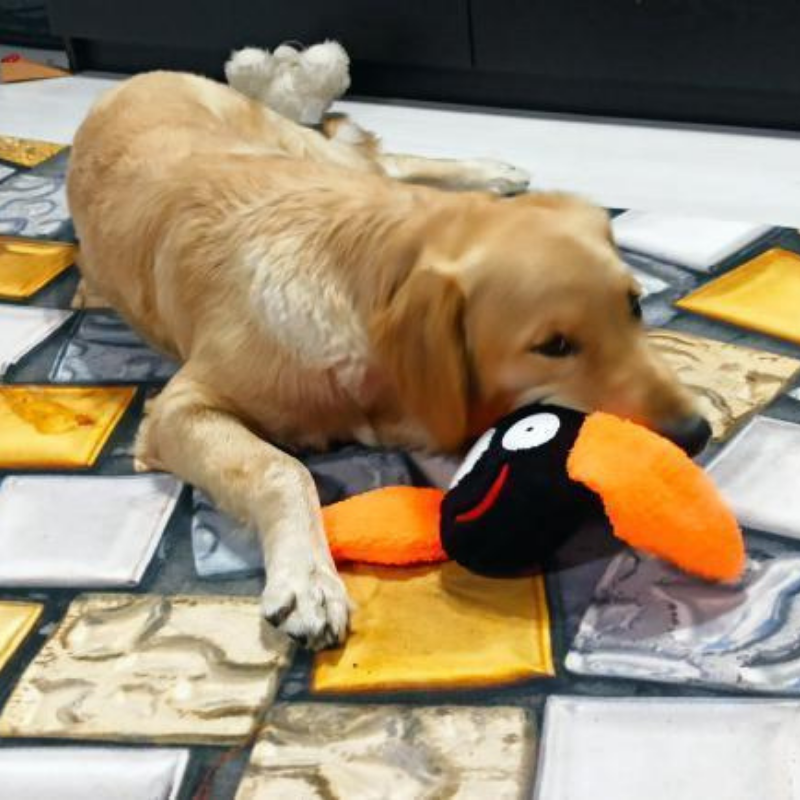 WufWuf Bat Squeaky Plush Toy