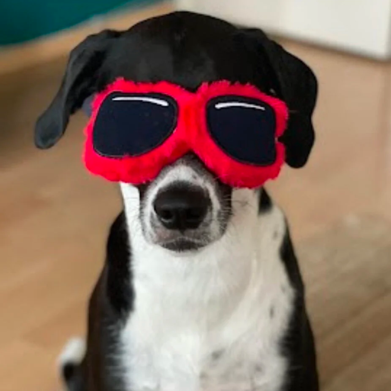 WufWuf Sunnies, Rope & Tug Dog Toy