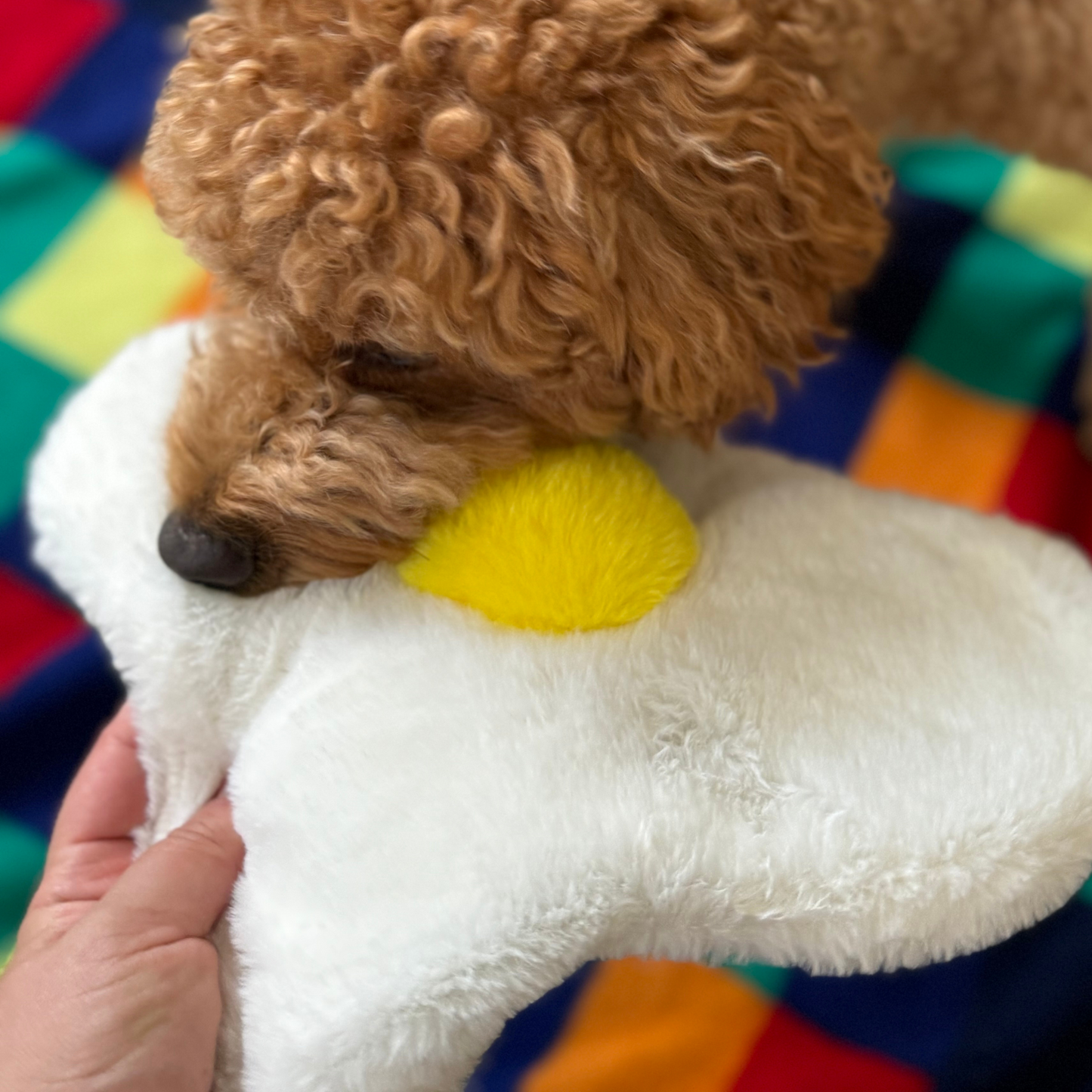WufWuf Sunny-Side Squeak: The Fried Egg Plush Dog Toy