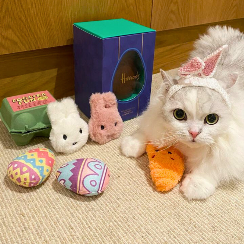 MyMeow Eggciting Easter Eggs, 2-Pack in Egg Carton