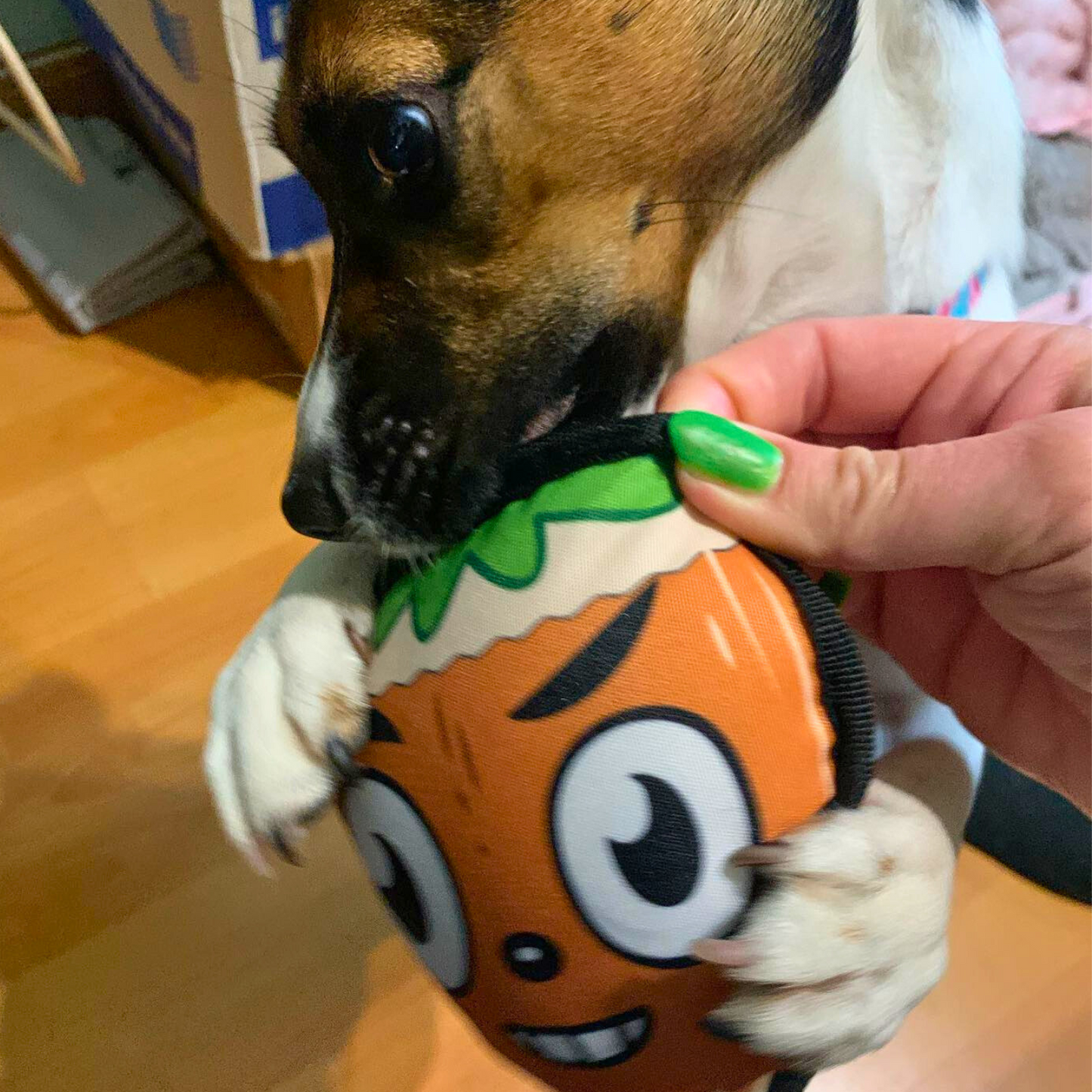 WufWuf Go Nuts Squeaky Plush Toy