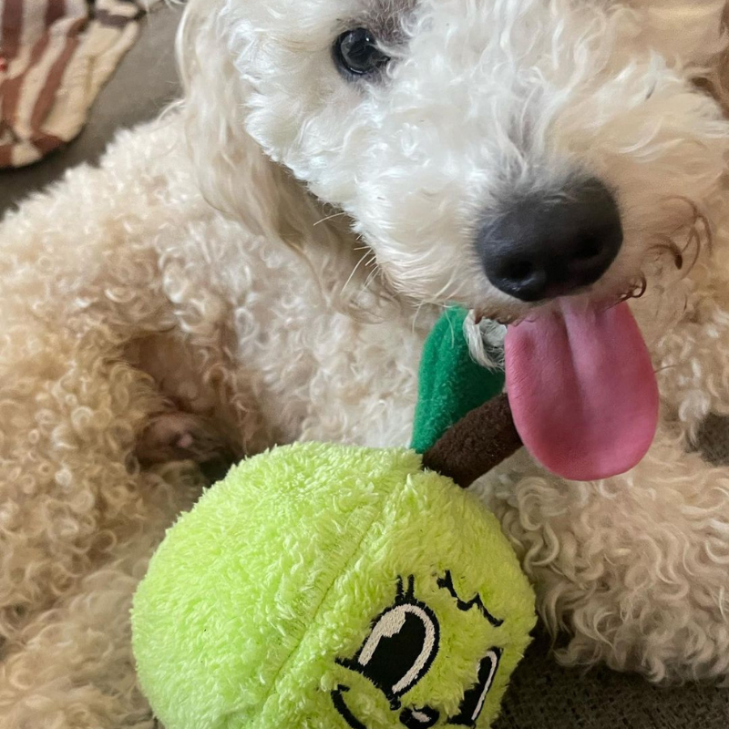 WufWuf - Green Apple Plush Toy