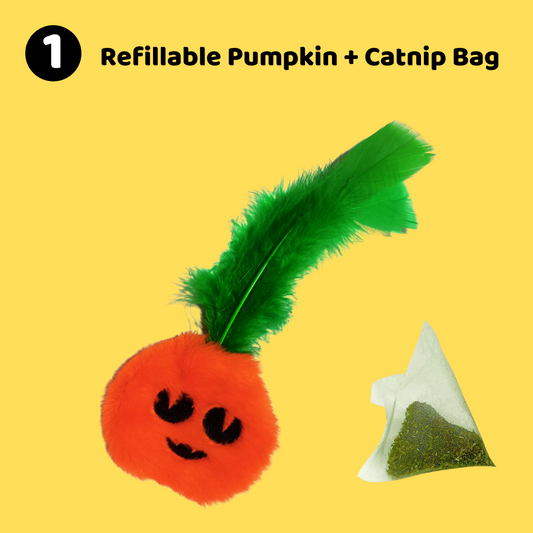 Halloween Cat Advent Calendar - 6 Days Countdown