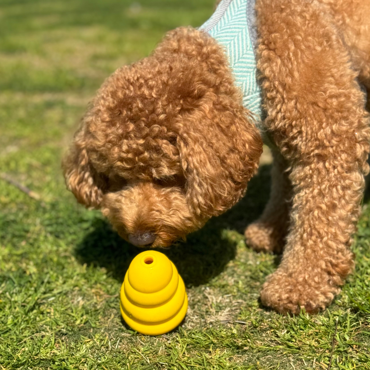 WufWuf Power Chewer Bell: Extreme Tough Treat Dispensing Chew Toy