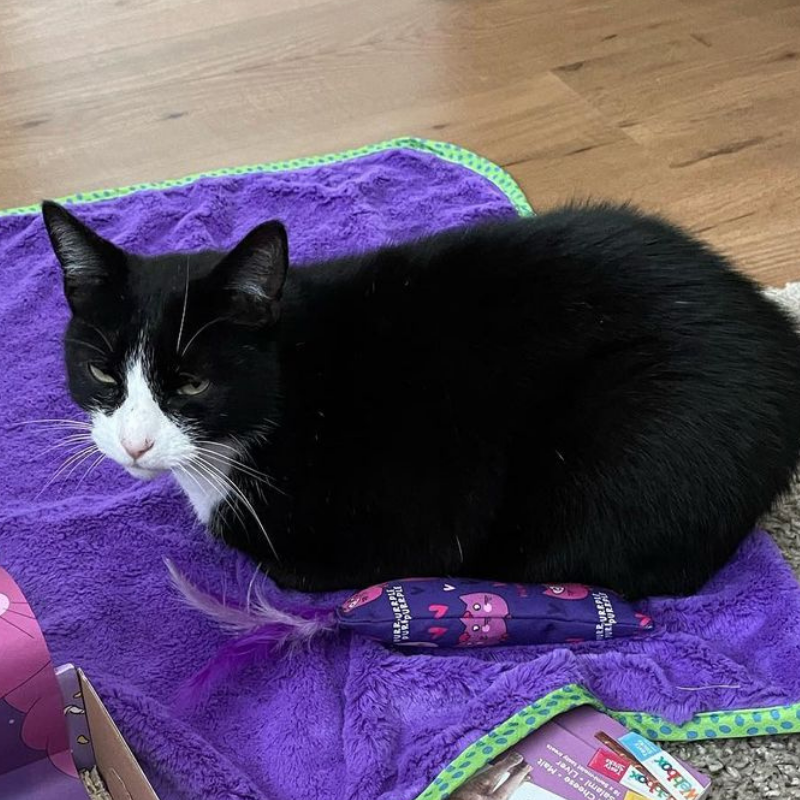 MyMeow - Catnip Kicker Toy