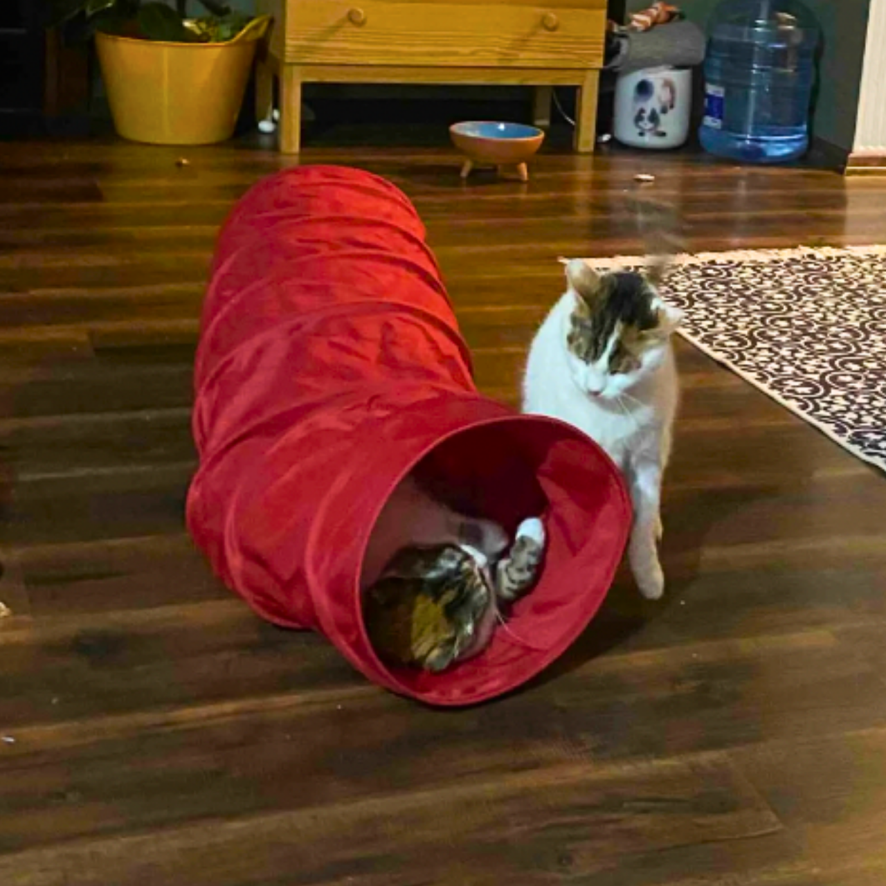 MyMeow Interactive Strengthened Red Long Tunnel 125cm