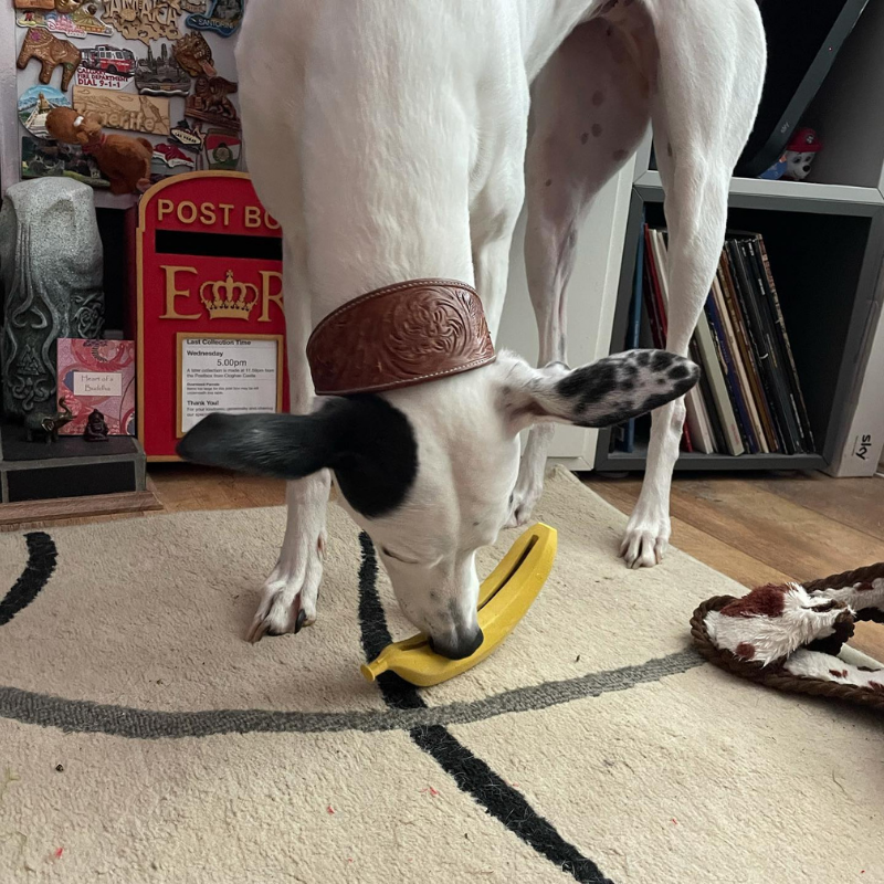 WufWuf Bana-Nom Durable Treat Dispensing Dog Toy, Interactive Play for Dogs