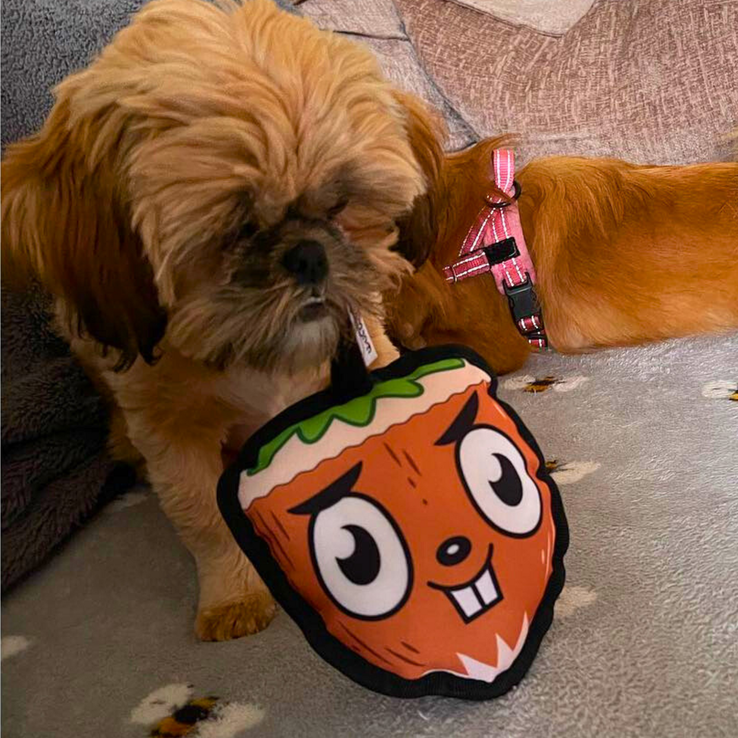 WufWuf Go Nuts Squeaky Plush Toy