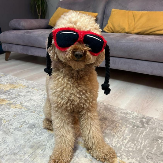 WufWuf Sunnies, Rope & Tug Dog Toy