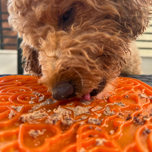 WufWuf & MyMeow TreatMate: An Eco-Friendly Treat Mat for Pets
