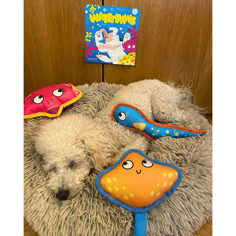 Smart Choice - Floating Summer Fish Plush Dog Toy - Eddie Eel