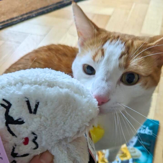 MyMeow Pawsome Brie: Refillable Catnip Toy