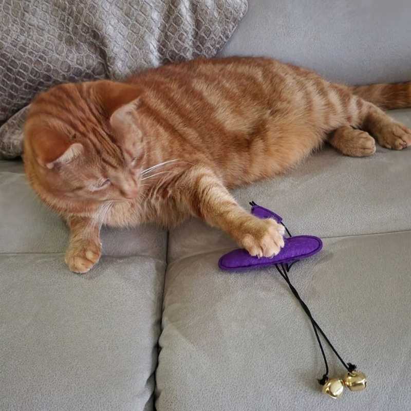 Hallomeow - Halloween Themed Toys for Cats - 15% Off