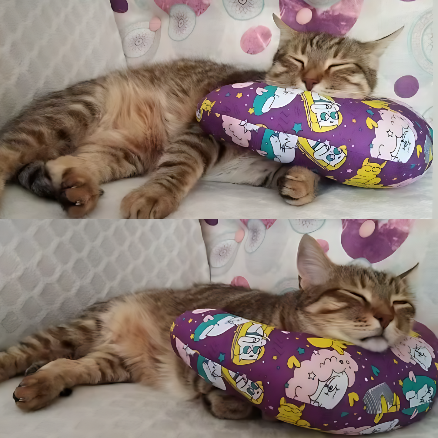 MyMeow Meow Pillow