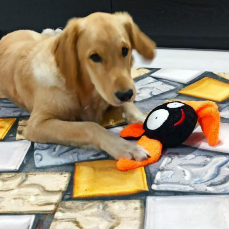 WufWuf Bat Squeaky Plush Toy