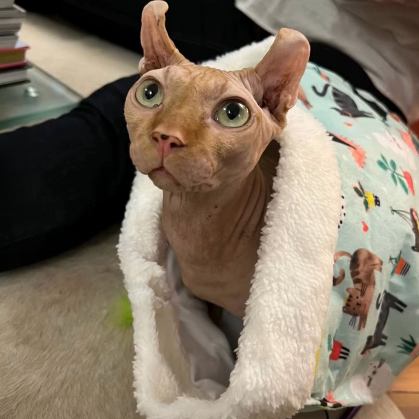 Smart Choice Interactive Crinkle Cat Bag Toy