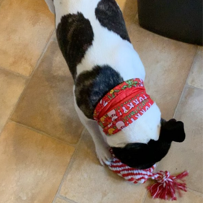 WufWuf Furry Christmas Pet Scarf