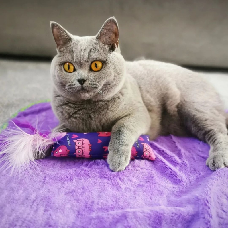 MyMeow - Catnip Kicker Toy