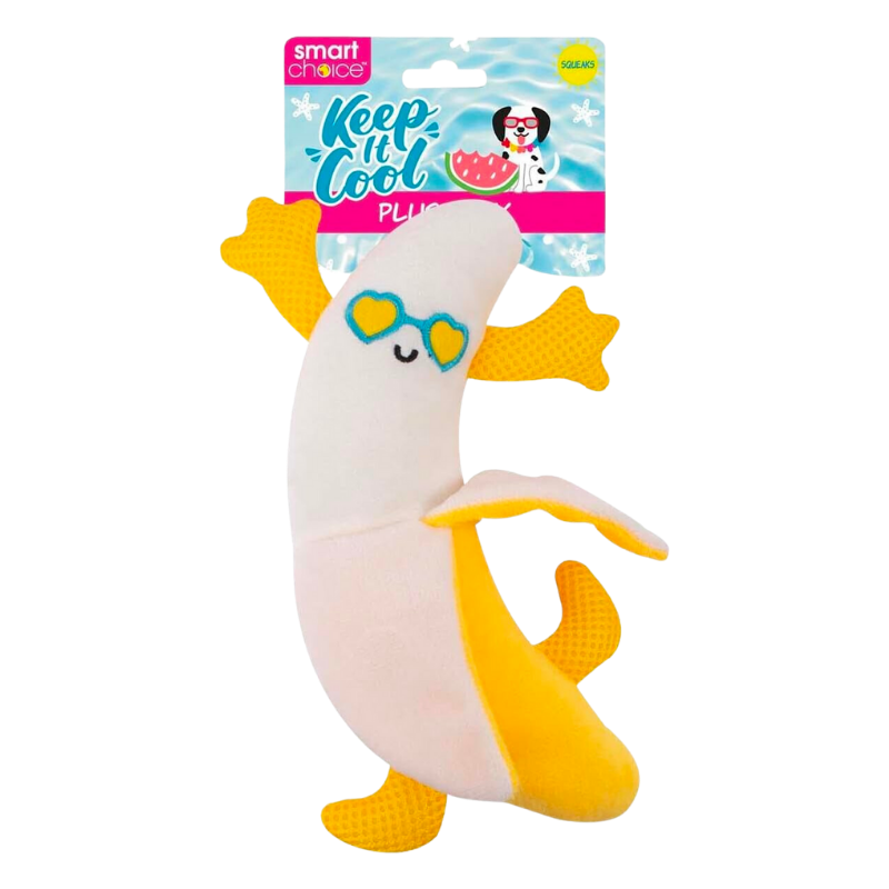 Smart Choice - Summer Fruit Plush Dog Toy - Assorted Styles x 3 Pack