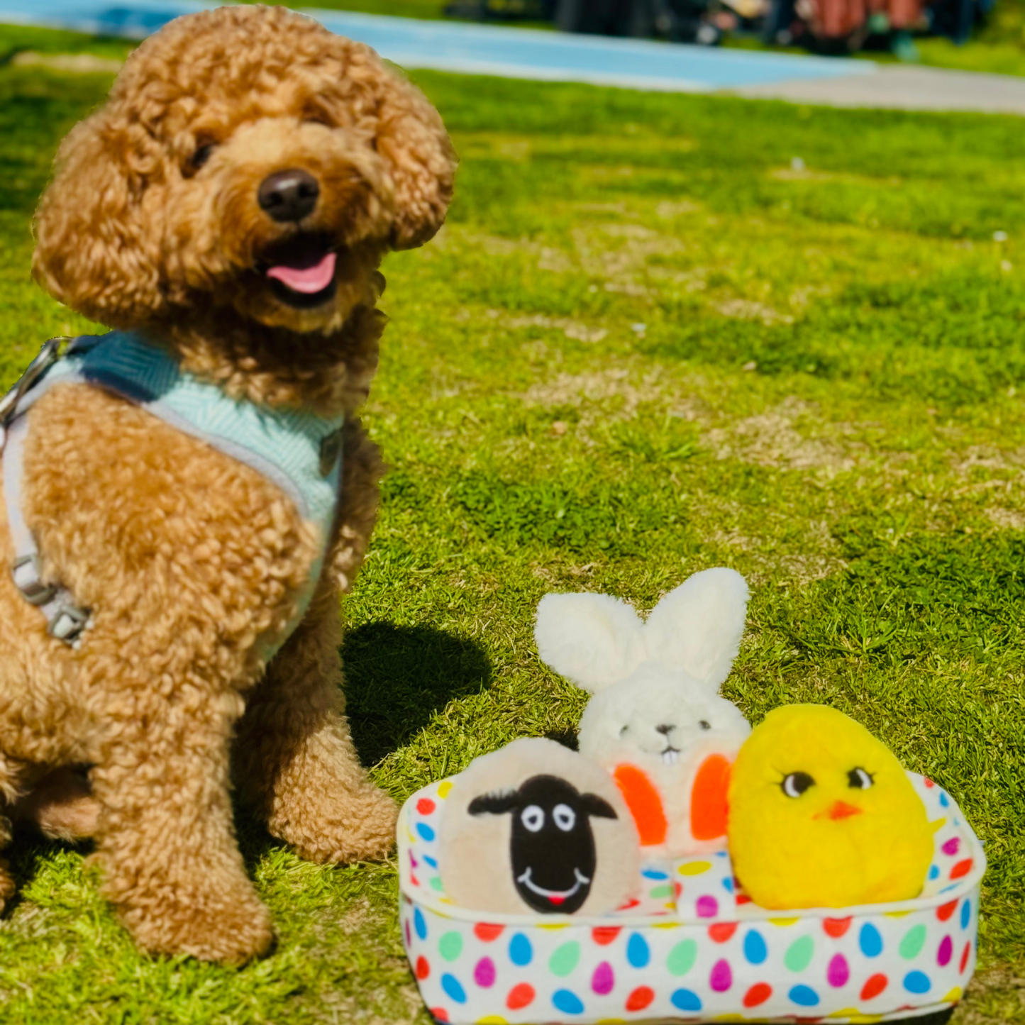 WufWuf Spring Basket: Lamb, Bunny & Chick Hide and Seek Dog Toy Set with Plush, Squeaky, Crinkle Features
