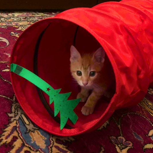 MyMeow Interactive Strengthened Red Long Tunnel 125cm