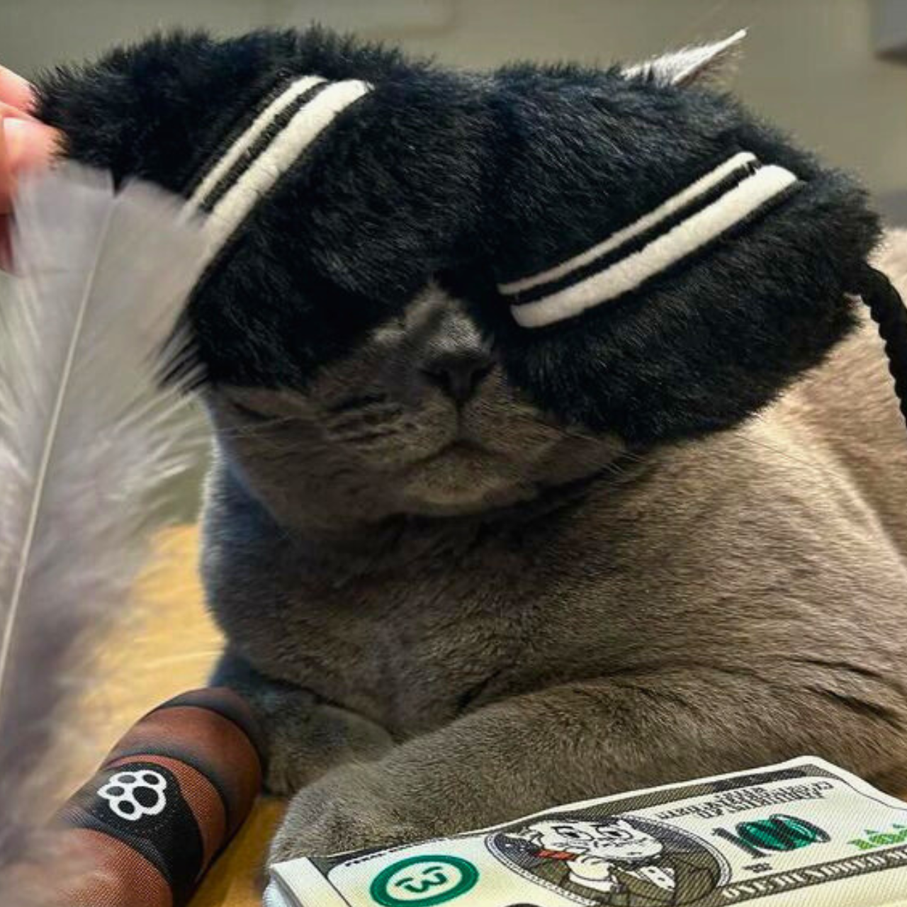 MyMeow Cat-Ban Interactive Plush Cat Toy