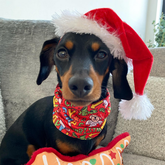 WufWuf Furry Christmas Pet Scarf